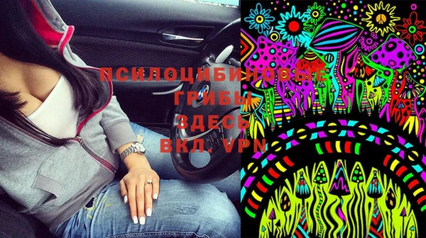 крисы Вязьма