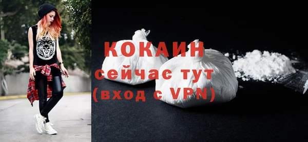 крисы Вязьма