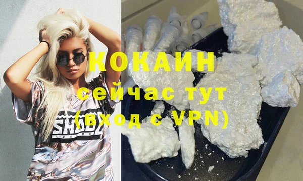 шишки Вяземский
