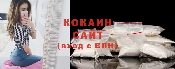 меф Горняк