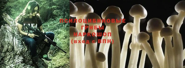 крисы Вязьма