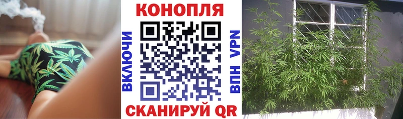 Марихуана OG Kush  Шахты 